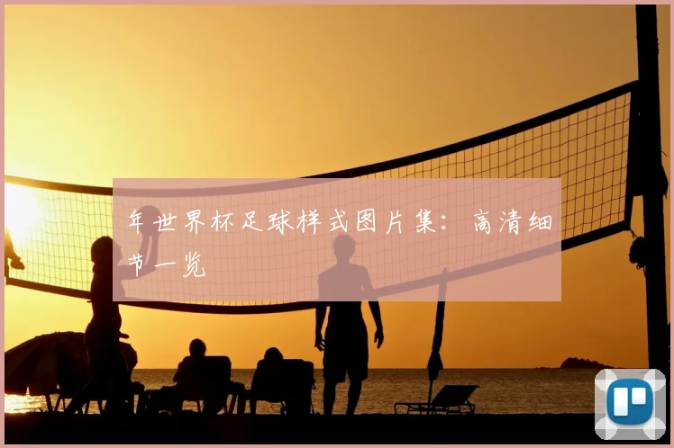 年世界杯足球样式图片集:高清细节一览