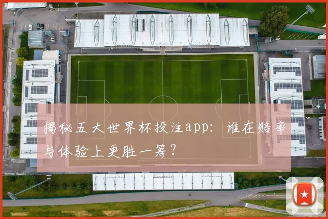 揭秘五大世界杯投注app：谁在赔率与体验上更胜一筹？