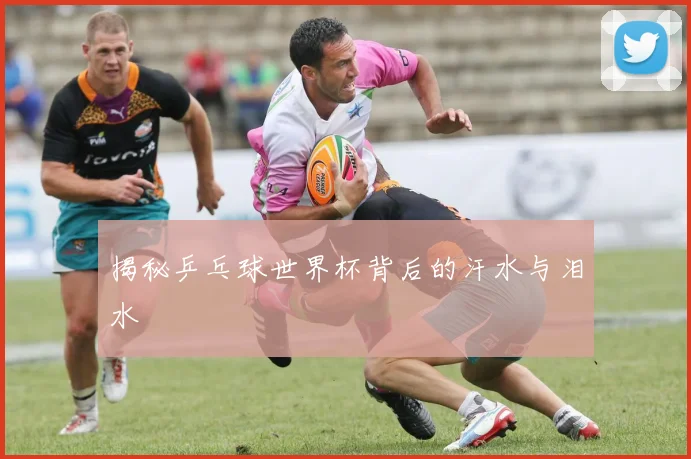 揭秘乒乓球世界杯背后的汗水与泪水