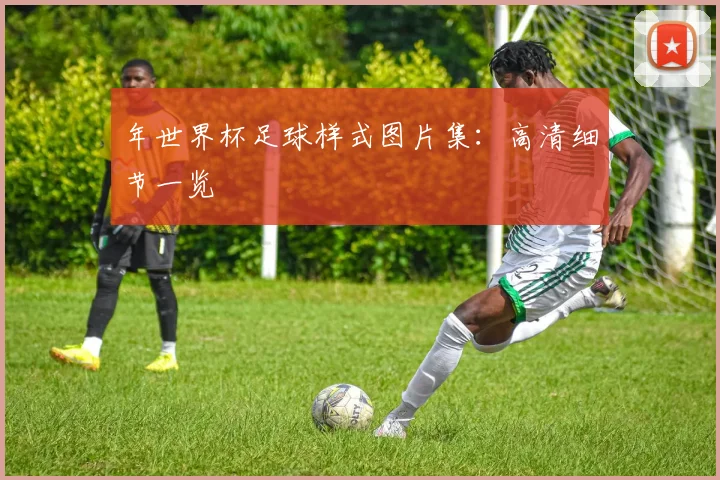 年世界杯足球样式图片集:高清细节一览