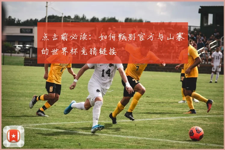 点击前必读：如何甄别官方与山寨的世界杯竞猜链接